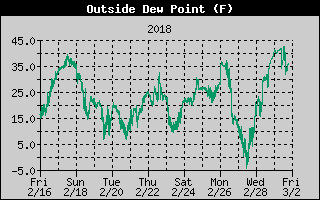 Outside Dewpoint History
