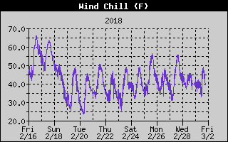 Wind Chill History